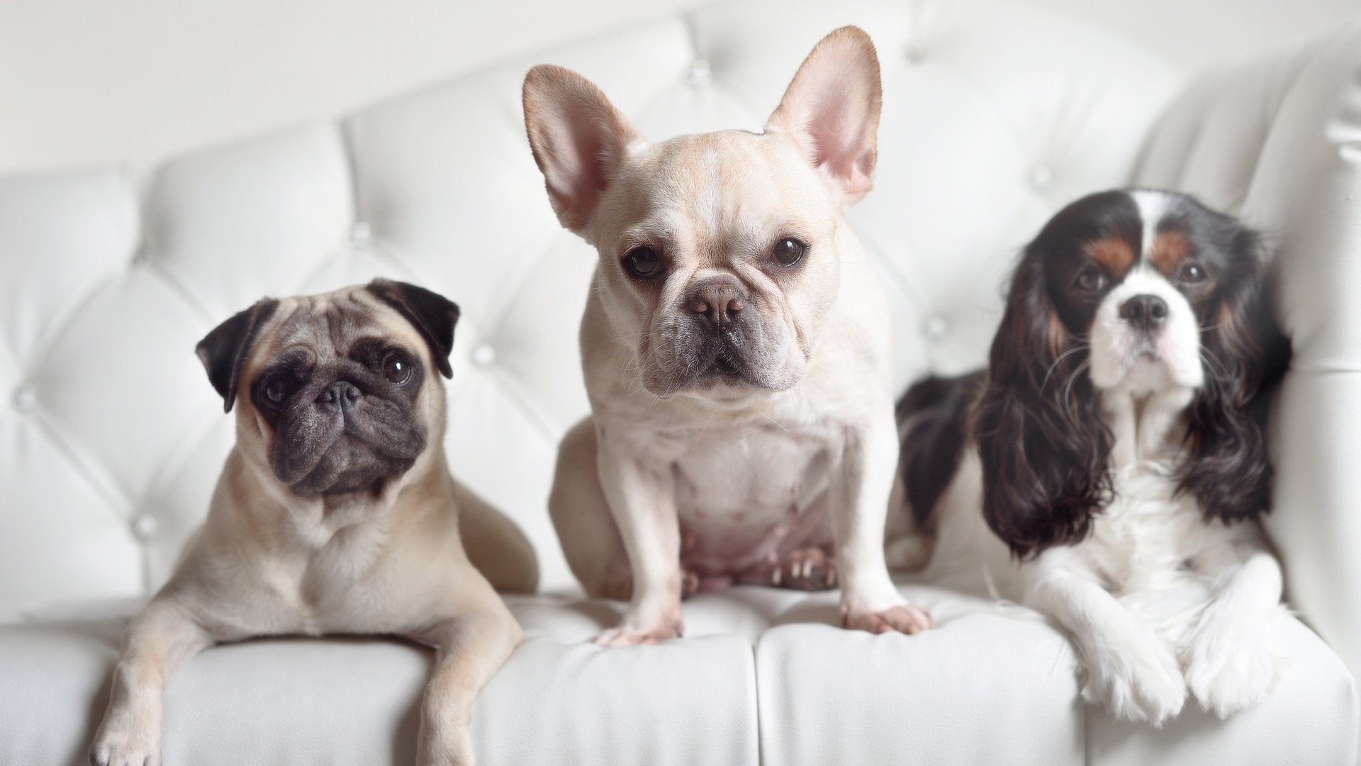 “校园足球推动计划在全国范围深度实施”,校园足球的具体推进措施