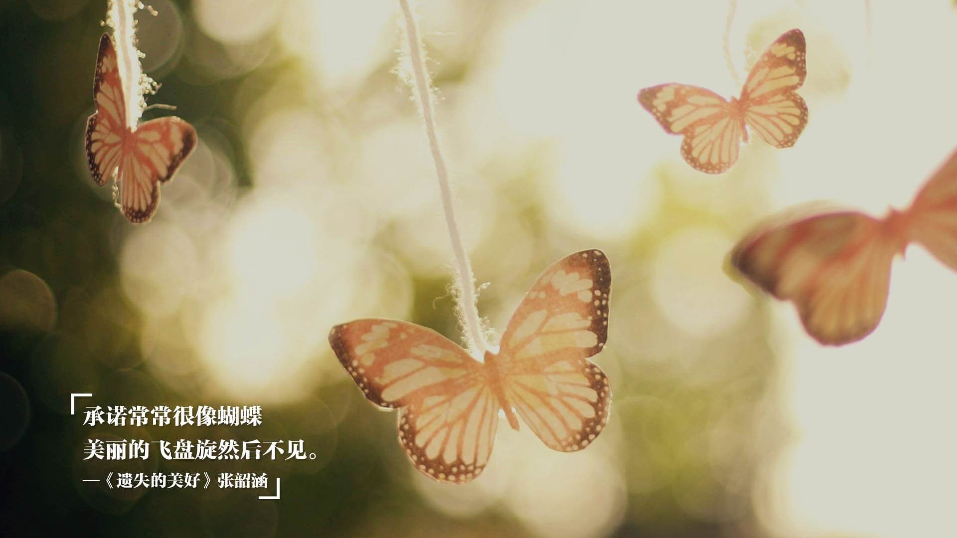 塞内加尔男足在巴黎奥运会比赛中获得银牌,创历史,奥运会塞内加尔出场