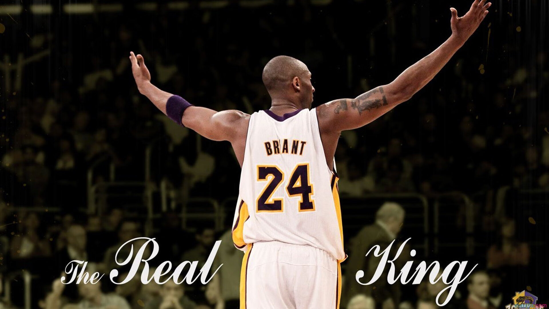 开云体育平台-朱婷携球队拍摄新赛季定妆照，朱婷决定