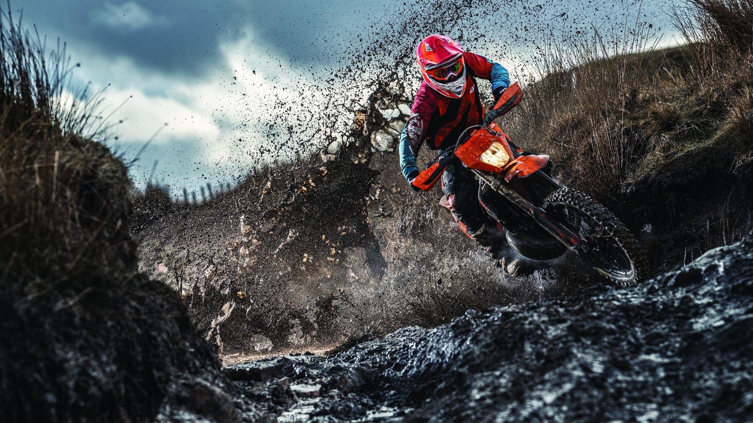 詹姆斯·奥康纳在场上展现出强大的决策能力，詹姆斯奥兰多